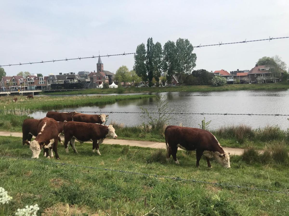 B&B Tussen Vecht En Veer Hardenberg Extérieur photo